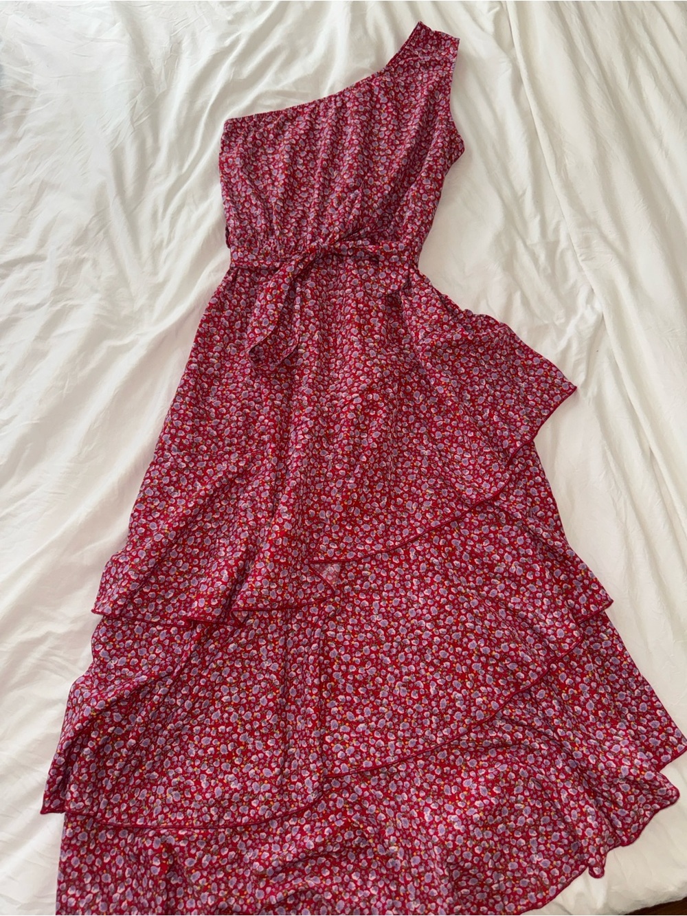 Asymmetric One-Shoulder Maxi Dress in Raspberry Floral